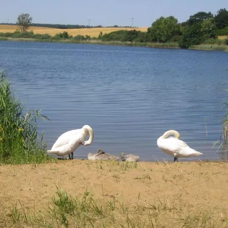 Maistern Semesterbostad *